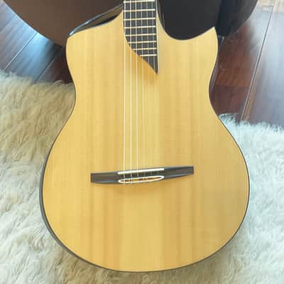 Turkowiak guitars image 2