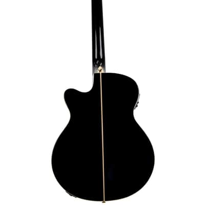 Washburn EA55G-A | Mini-Jumbo Acoustic / Electric Exotic Koa Burst. New with Full Warranty! image 3