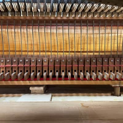 Steinway Model B 6'11" Grand Piano 1888 (Restored) - Satin Brazilian Rosewood image 23