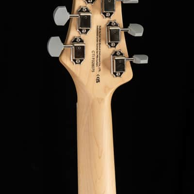 PRS SE Silver Sky Nylon Blue image 5