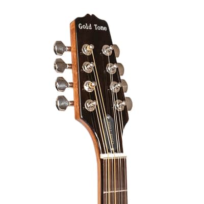 Gold Tone BZ-500 Folkternative Design Solid Spruce Top Irish Bouzouki Mandolin with Hardshell Case image 9