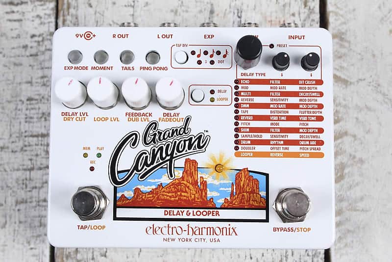 Electro Harmonix Grand Canyon Delay & Looper Pedal Electric Guitar Effects Pedal image 1