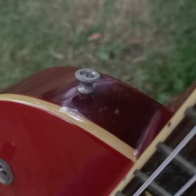 Tokai LS 60 Love Rock - MIJ 1981 - Vintage Sunburst - With OHSC image 22