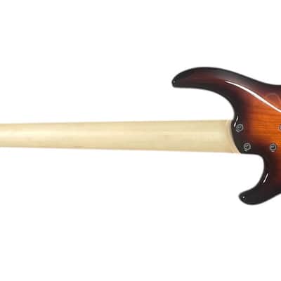 Dingwall Combustion 5, Vintage Burst w/ Pau Ferro *In Stock! image 8
