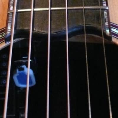 Warrior Acoustic Queen Anna Brazilian Grand Auditorium Cutaway  2000's Natural image 6