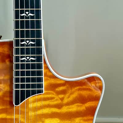 Taylor T5 image 4