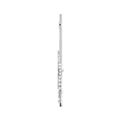 Stagg WS-FL111 Closed Hole C Offset G, Split E Flute Nickel Silver w/Soft Case, Swab, Gloves image 2
