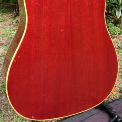 Early 1970’s Canda 212 Hummingbird Model MIJ by Fujigen Gakki image 7