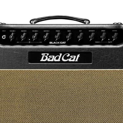 Bad Cat Amplification Black Cat 1x12 Combo Amplifier image 2