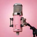 Eden LT-386 Limited Edition Pink Cerakote (100% Proceeds For Cancer Research)