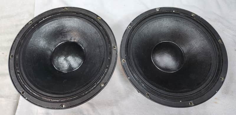 Electro-Voice Model DL12ST ,12" Speaker,400 watts,8 Ohms image 1