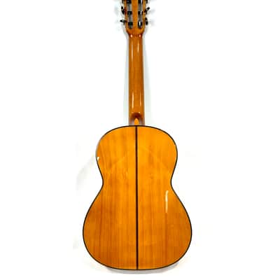 Antonio Picado – Model 53F Blanca Flamenco/Classical Guitar (2019, Spain) – Cypress Back & Sides image 12