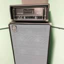 Ampeg SVT-II 300-Watt Bass Head & early 70s SVT 810 Cabinet
