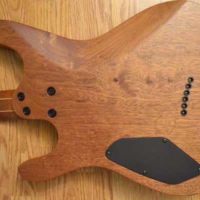 Mayones Setius - Natural image 10