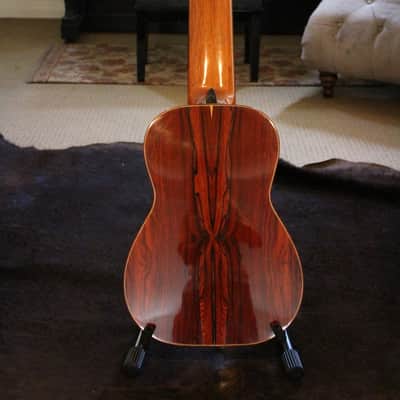 Darren Hippner 11 string Concert Classical 2011 image 5