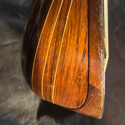 Washburn Bowlback Mandolin Style 1615 - Made in 1915 - Brazilian Rosewood - Great Player! - All Org. - Ships FREE!!! image 12