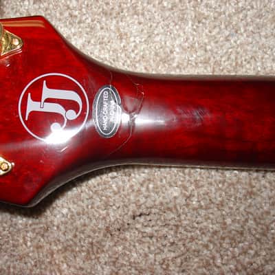 Epiphone Les Paul Custom (Jerry Cantrell model) with Case ! image 9