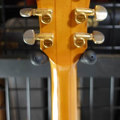Ibanez MC300-DS Musician 1978 - Dark Stain image 7