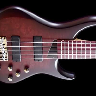 MTD Kingston AG5 Andrew Gouché Signature V2 image 4