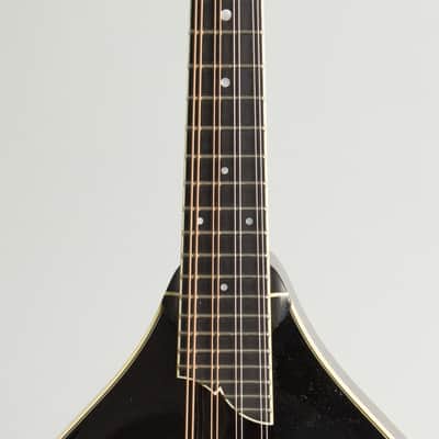 Immagine Collings MT2 Carved Top Mandolin (2016), ser. #3641 - 8