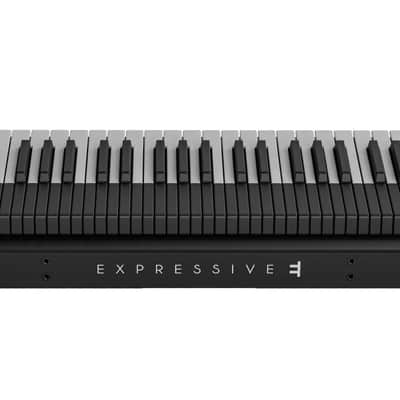 Expressive E Osmose 49-Key 24-Voice Polyphonic Synthesizer - Black image 3