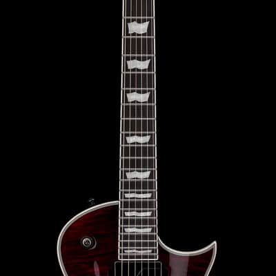 LTD EC-1000 - See Thru Black Cherry #20178 (Factory Demonstration Model) image 5