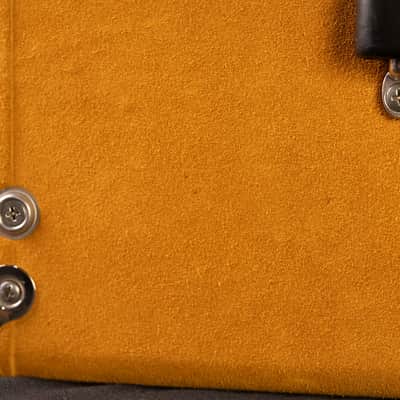 Amplified Nation Dirty Wonderland 2021 - Buckskin Suede 50 Watt image 9
