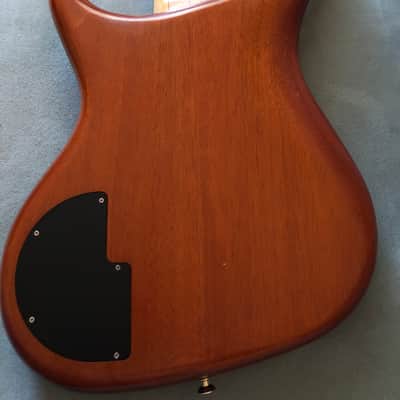 Alembic Orion 1999 Natural image 2