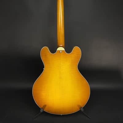 Eastman T486B-GB image 5