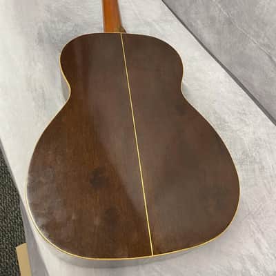 Giannini AWN 31 image 9