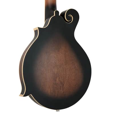 Gold Tone F-Style 6-String Acoustic Electric Mandolin-Guitar w/ Hard Case image 9
