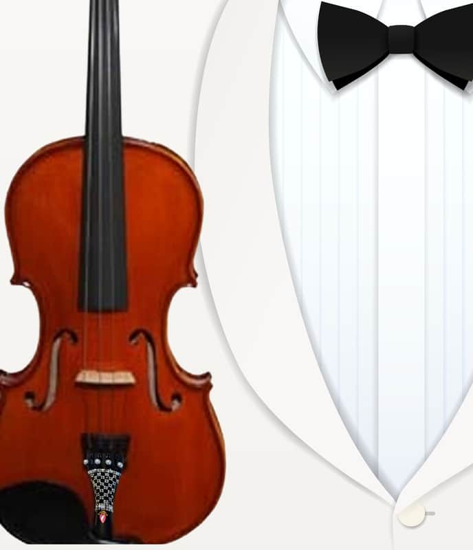 Lumina Artist 4/4 Violin Outfit, Crytsal Tailpiece image 1