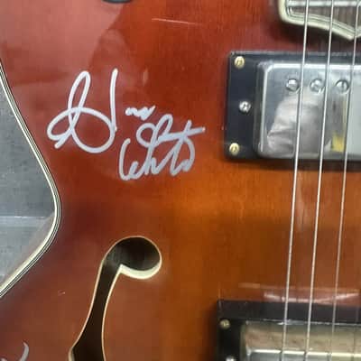 Samick Archtop progressive Rock Titans signature 1990 image 6