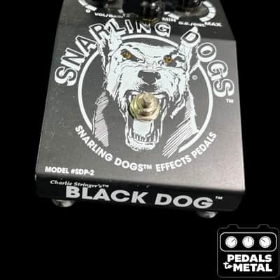 Snarling Dogs Very Tone Black Dog - X18920 image 3
