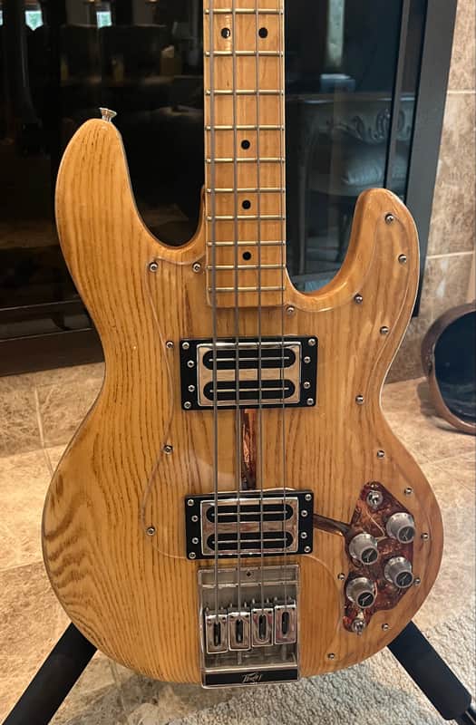 Peavey T-40 1981 - Natural image 1