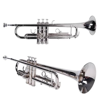 Marcinkiewicz Marsinkiewicz / Concert Hall Model E13.8 (Mike Vax