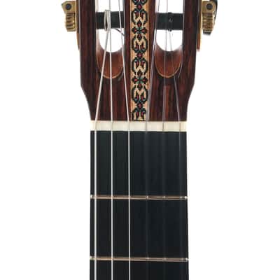 Dirk Janssen D30 Magma Concert Brazilian Rosewood 2014 image 2