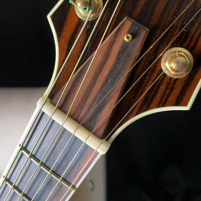 Mark Campellone Standard 17" Archtop Biltoft Pickup image 12