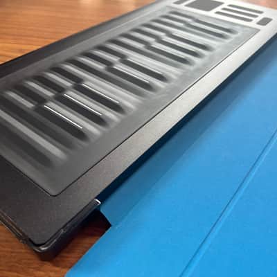 ROLI Seaboard RISE 25 with Blue Flip Case image 5