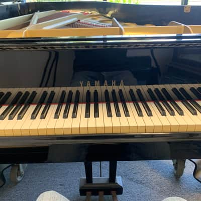 Terry Bozzio's Missing Persons 1983 Yamaha C7 Grand Piano. Polished Ebony image 12