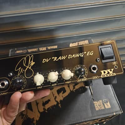 DV Mark DV "Raw Dawg" EG Eric Gales Signature 250-Watt Guitar Amp Head 2018 - Present - Black image 3