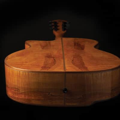 Washburn Comfort Deluxe 66 G66SCE Acoustic-Electric - Spalted Maple (WCG66SCE-O-U) image 3