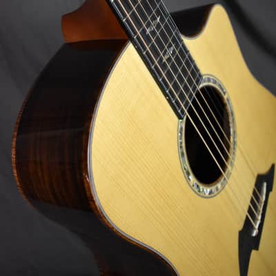 2010 Breedlove Special Edition Focus D image 19