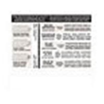 D'Addario EJ38 Phosphor Bronze 12-String Acoustic Guitar Strings, Light, 10-47 image 3