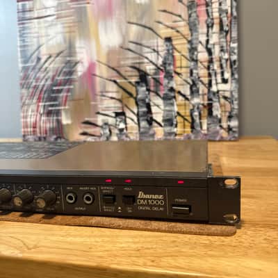 Vintage Ibanez Japan DM-1000 Digital Delay Rack Mount Guitar PA Effects Japan image 2