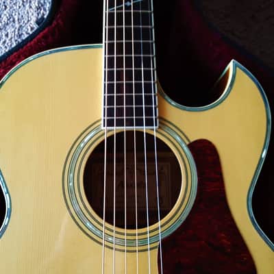 Alvarez AD90SCK Acoustic Electric Cutaway Guitar with TKL Hard Case image 5