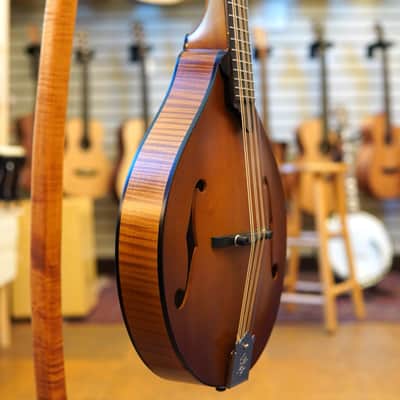 Northfield NFO-AT3 Wavelength Short-Scale Archtop Octave Mandolin Ox Amber w/Padded Gig Bag image 2