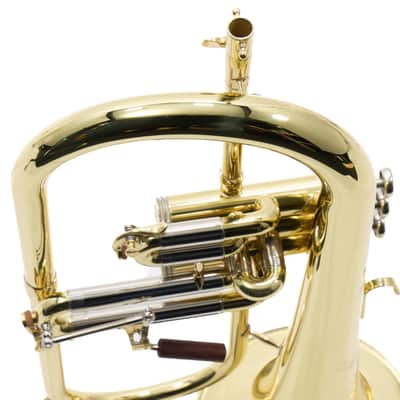 S.E. Shires Model Q19 Q-Series Professional Flugelhorn BRAND NEW image 11