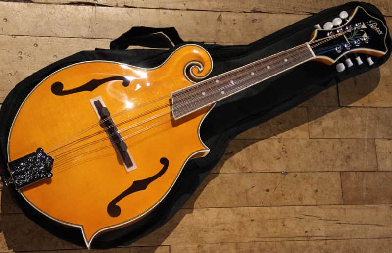 Rover RM-75 Deluxe Student F-Model Mandolin Flamed Maple image 1