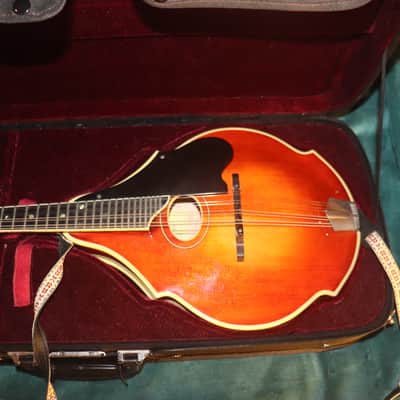 Eastman Mandolin DGM-2 Dawg Bacon copy modern vintage Bild 2